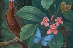 Amaringo_unt.(bird and butterflies), 3/31/06, 4:24 PM,  8C, 6903x6326 (1082+1591), 108%, Custom,  1/20 s, R67.6, G41.8, B58.9