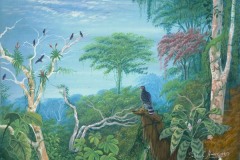 Amaringo_unt.(LS w. birds)), 3/31/06, 3:14 PM,  8C, 6684x6163 (1166+1228), 100%, Custom,  1/20 s, R67.6, G41.8, B58.9