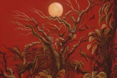 Amaringo_red jungle w sun, 4/7/06, 1:54 PM,  8C, 5600x8237 (1006+247), 92%, Repro 2.2 v2,  1/20 s, R77.4, G50.4, B69.4