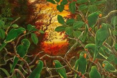 33.Green-Parrots