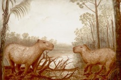 Amaringo_unt.(capybara), 3/31/06, 2:54 PM,  8C, 7018x6233 (123+862), 92%, Custom,  1/20 s, R58.6, G32.8, B49.9