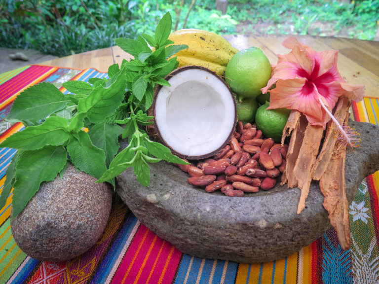 Setting Rainforest Medicine Council Gatherings