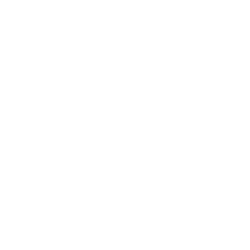 Rainforest Medicine Gatherings